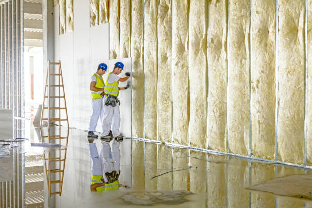 Best Specialized Insulation Services in Childersburg, AL